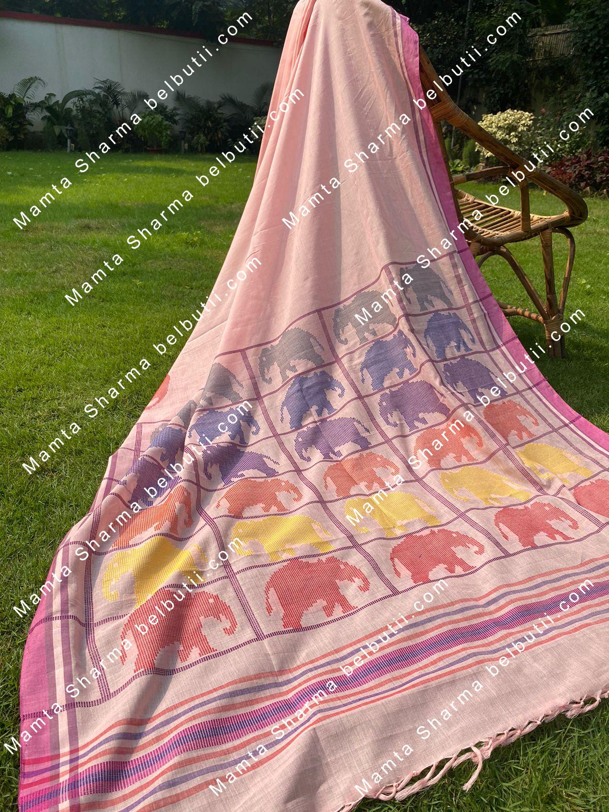 Belbutii Saree - Sr0210- ele wht