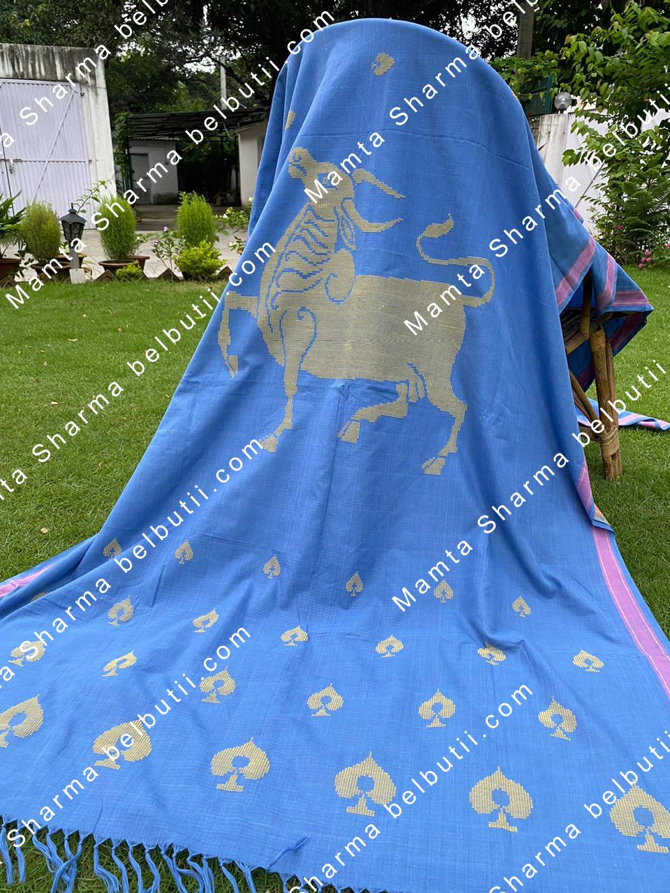 Sr0246_wht_ani_sym_blue